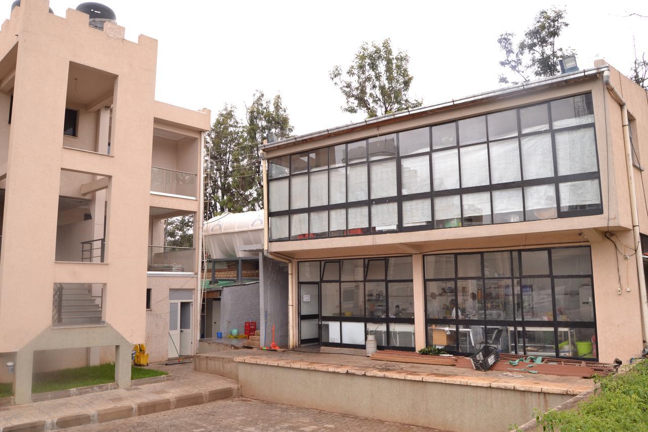 Harar Grand Gato Hotel And Tours מראה חיצוני תמונה